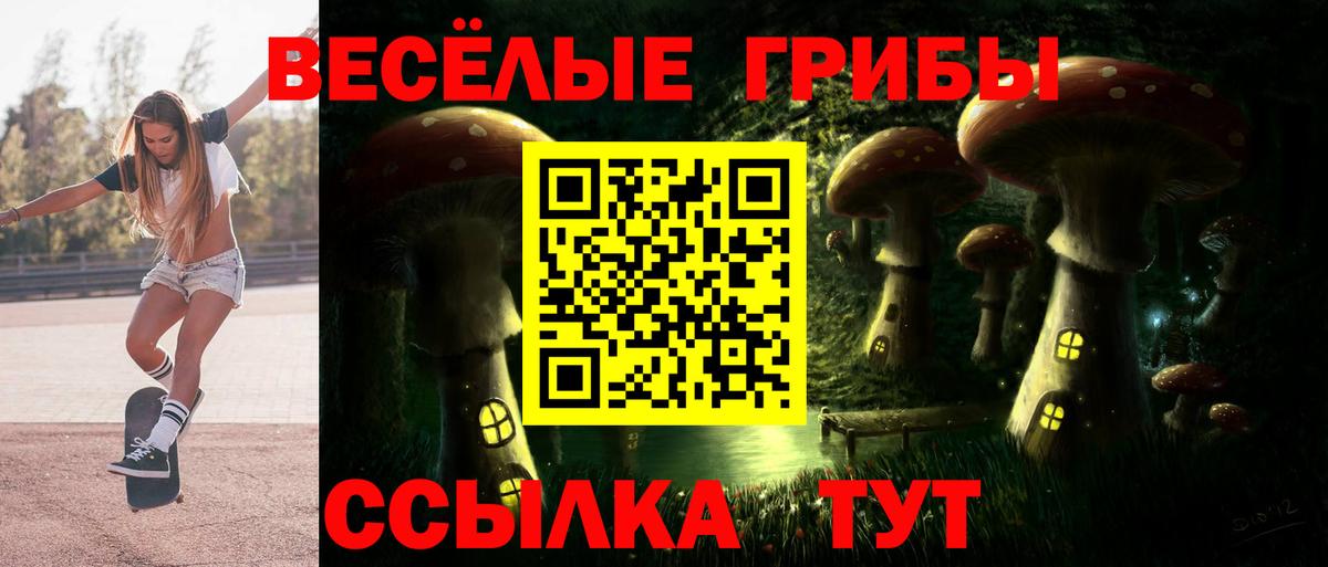 где продают наркотики  Псилоцибиновые грибы прущие грибы  Вход с VPN  Качканар 